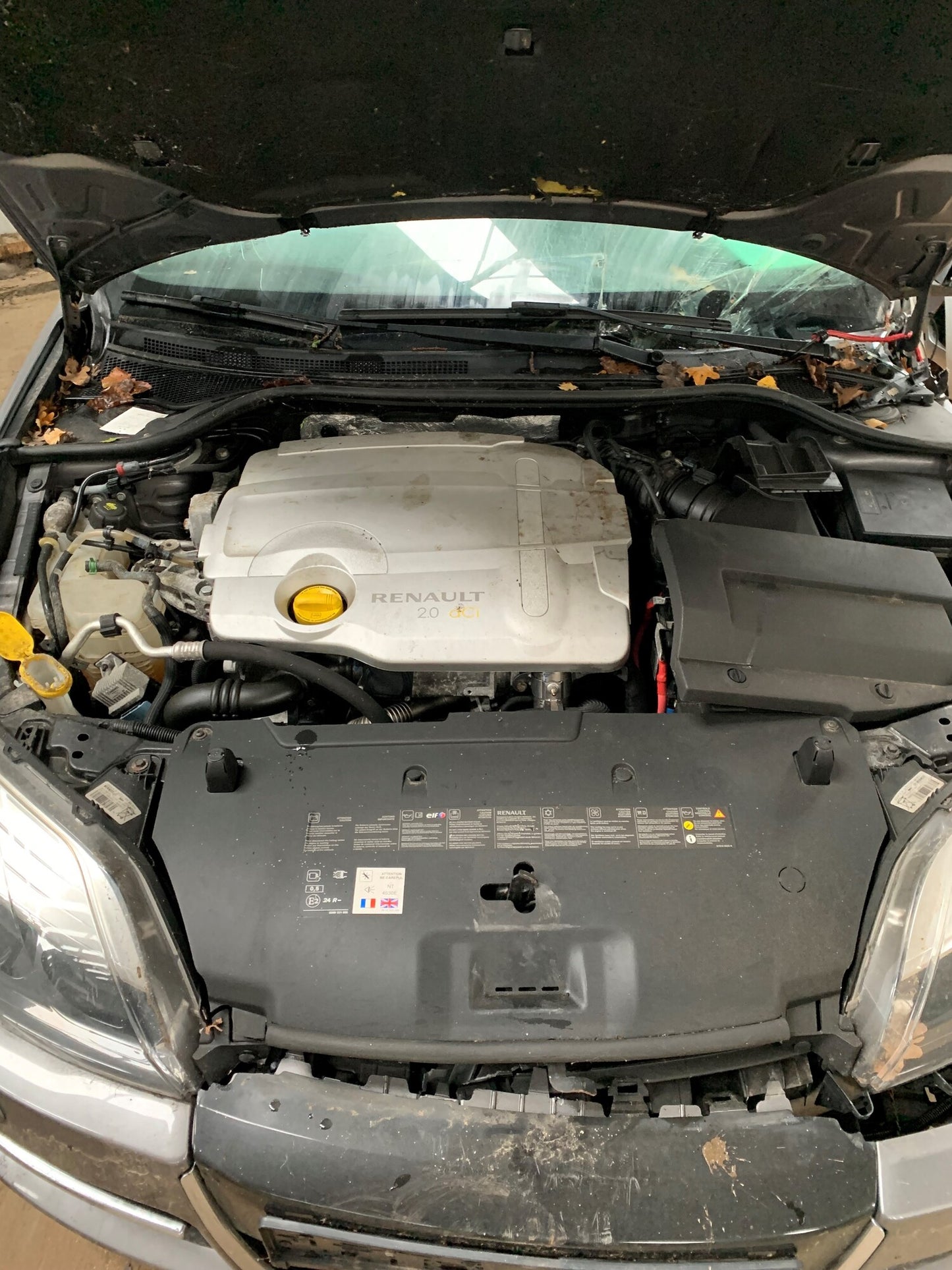 Brugt Renault Laguna (08-->) Pluk-Selv-Bil med kun 132.000 Km. fra Autogenbrug / Autoophug